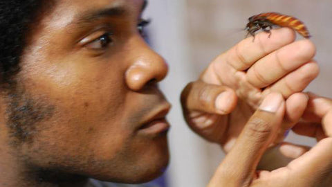 Let Your Kids Play With Bugs