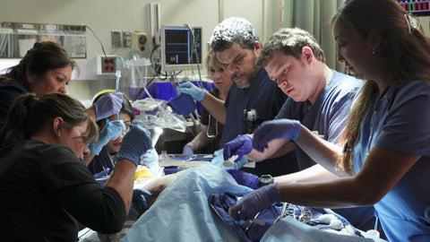 REAL OR NOT — Code Black: “We Plug Holes” (1×02)