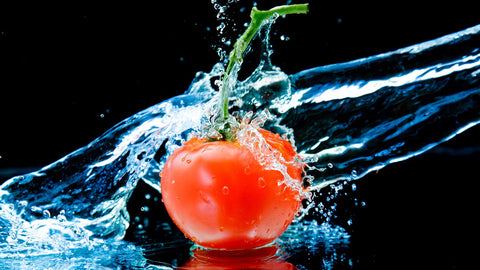 Links Between Neuropathy And Diet