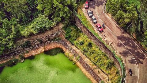 Why Do Most Of The Girls From Kerala Opt For Nursing As Their Career?