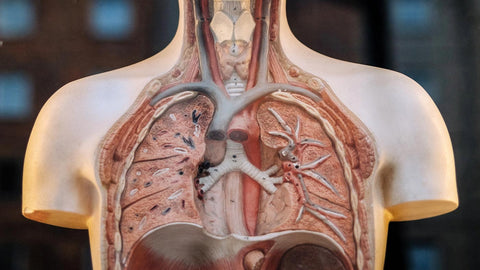 The 3 Main Ways You Can Get Viral Hepatitis