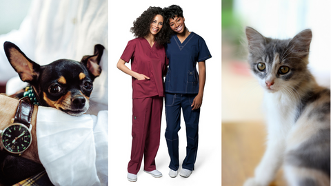 Do vet techs wear scrubs?