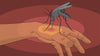 Making Sense of Third World Countries’ Zika Virus Outbreak