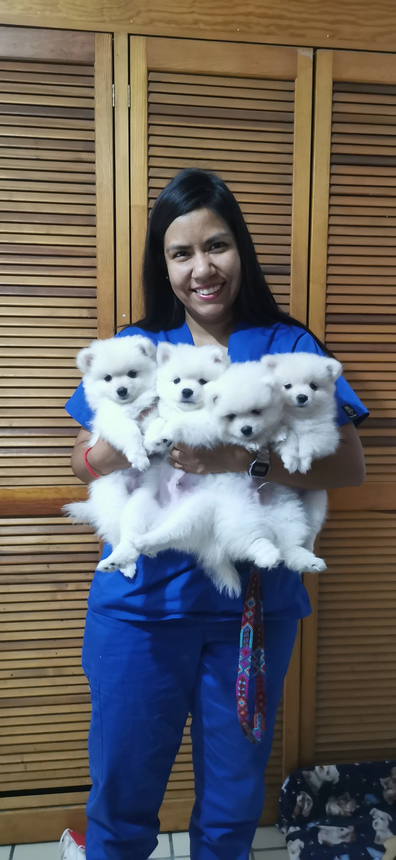 Delia Andrea Jaime Urrutia Castro